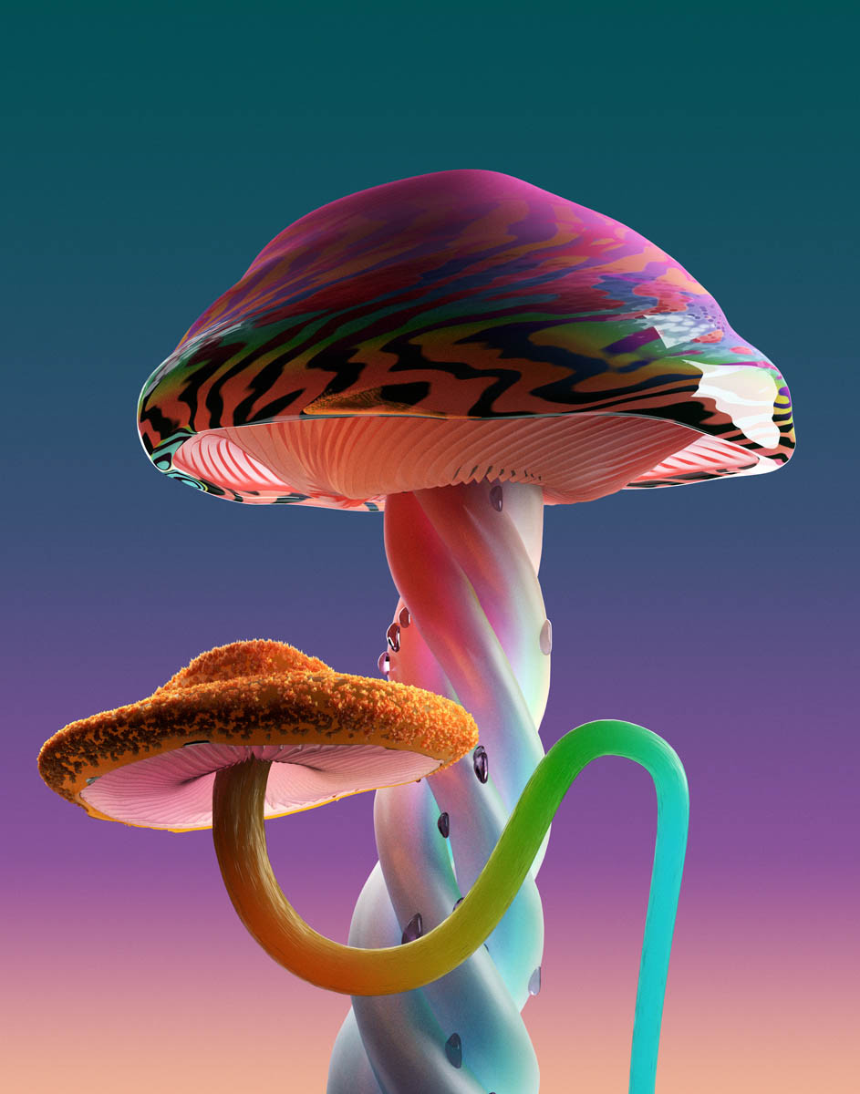 Jonathan Zawada / Personal Work / Rare Mushrooms&lt;span class=&quot;slide_numbers&quot;&gt;&lt;span class=&quot;slide_number&quot;&gt;7&lt;/span&gt;/7&lt;/span&gt;