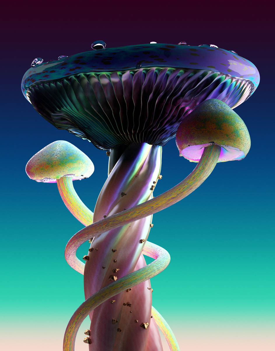 Jonathan Zawada / Personal Work / Rare Mushrooms&lt;span class=&quot;slide_numbers&quot;&gt;&lt;span class=&quot;slide_number&quot;&gt;5&lt;/span&gt;/7&lt;/span&gt;
