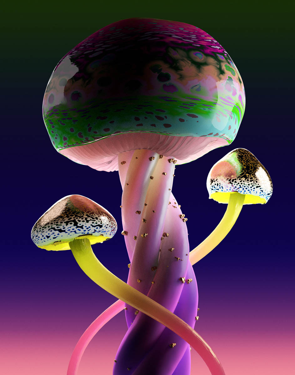 Jonathan Zawada / Personal Work / Rare Mushrooms&lt;span class=&quot;slide_numbers&quot;&gt;&lt;span class=&quot;slide_number&quot;&gt;3&lt;/span&gt;/7&lt;/span&gt;