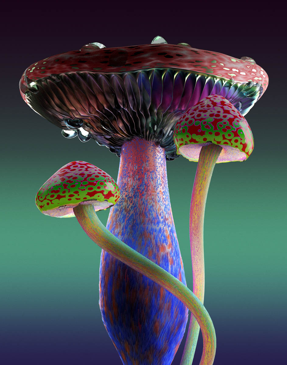 Jonathan Zawada / Personal Work / Rare Mushrooms&lt;span class=&quot;slide_numbers&quot;&gt;&lt;span class=&quot;slide_number&quot;&gt;2&lt;/span&gt;/7&lt;/span&gt;