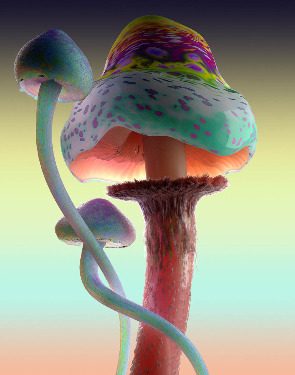 Jonathan Zawada / Personal Work / Rare Mushrooms&lt;span class=&quot;slide_numbers&quot;&gt;&lt;span class=&quot;slide_number&quot;&gt;1&lt;/span&gt;/7&lt;/span&gt;