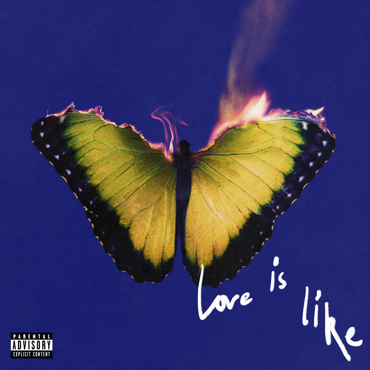 Music / Maroon 5&lt;span class=&quot;slide_numbers&quot;&gt;&lt;span class=&quot;slide_number&quot;&gt;1&lt;/span&gt;/1&lt;/span&gt;