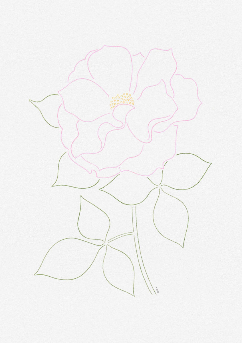 Emi Ueoka / Personal Work / Botanical&lt;span class=&quot;slide_numbers&quot;&gt;&lt;span class=&quot;slide_number&quot;&gt;1&lt;/span&gt;/3&lt;/span&gt;