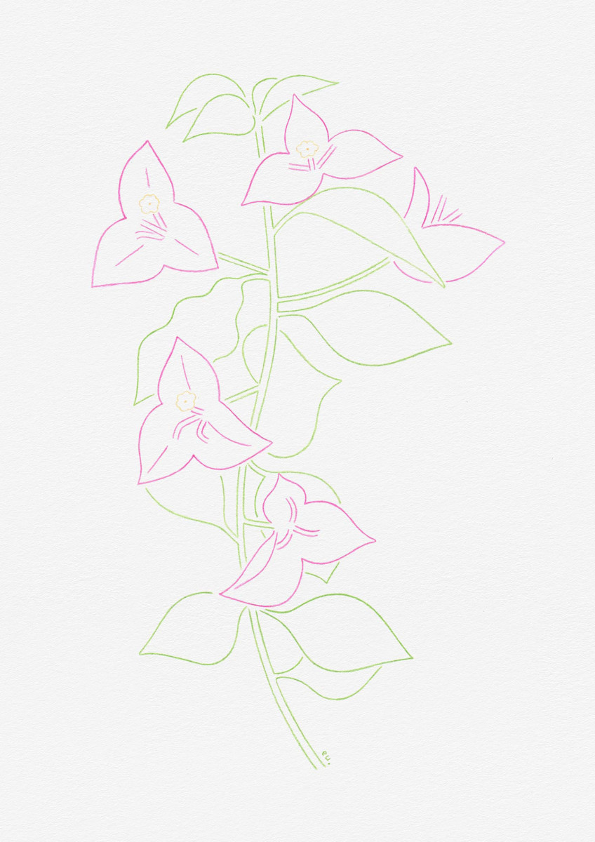 Emi Ueoka / Personal Work / Botanical&lt;span class=&quot;slide_numbers&quot;&gt;&lt;span class=&quot;slide_number&quot;&gt;2&lt;/span&gt;/3&lt;/span&gt;