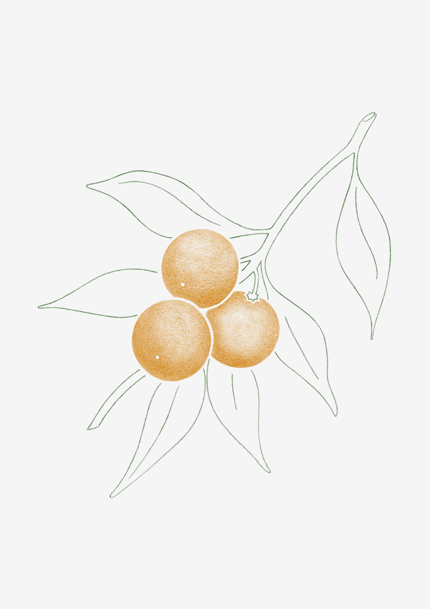 Emi Ueoka / Commercial / HKK&lt;span class=&quot;slide_numbers&quot;&gt;&lt;span class=&quot;slide_number&quot;&gt;1&lt;/span&gt;/3&lt;/span&gt;