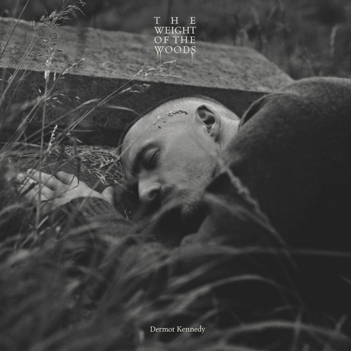 Music / Dermot Kennedy<span class="slide_numbers"><span class="slide_number">3</span>/5</span>